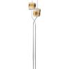 Coghlan’s Telescoping Roasting Fork – Stainless Steel Skewers for Marshmallows & Hot Dogs – Extends 12.5″ to 34″ with Handle & Thumb Roller for Easy Rotation(Plastic Handle)