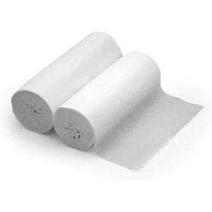 Coghlan’s Coreless Portable Toilet Tissue(2 Count (Pack of 1))