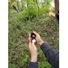 Coghlan’s Luminous LED Compass – Easy-to-Read Navigation Tool for Hiking, Camping, Orienteering, Backpacking, and Outdoor Survival